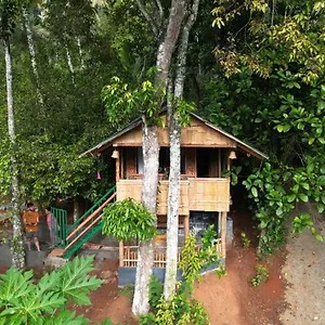 https://fab-bamboo-hut-with-open-shower.kerala-hotels.net